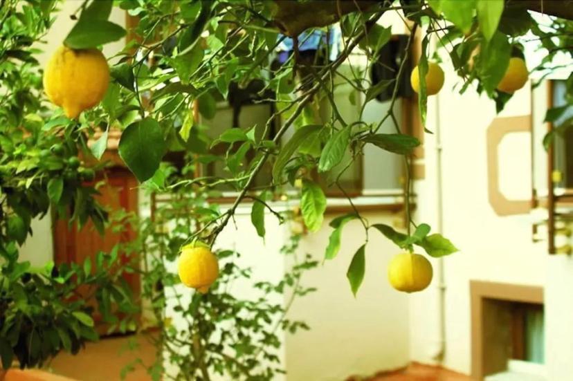 Boncuklu Otel Ölüdeniz Extérieur photo